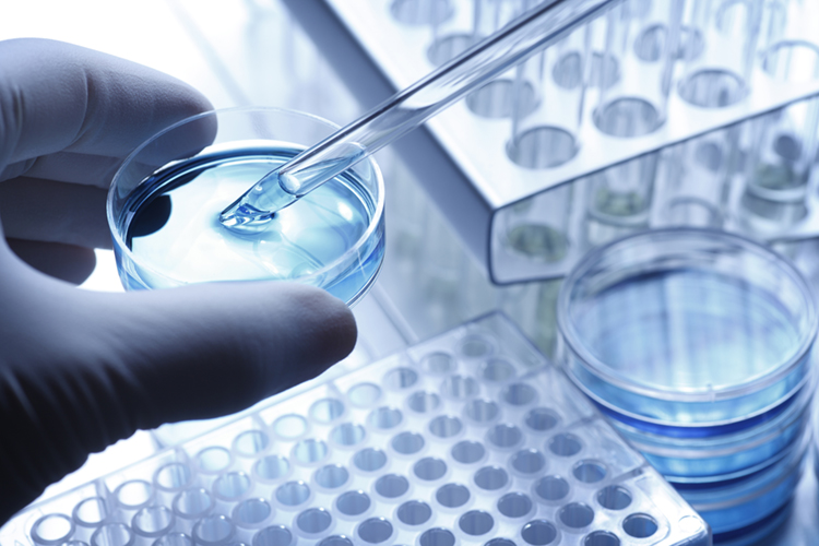 BioStartup - background